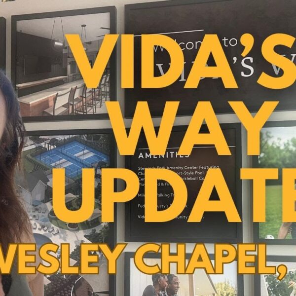Discover Vidas Way In Wesley Chapel Florida