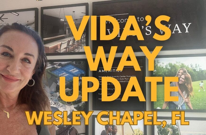 Discover Vidas Way In Wesley Chapel Florida