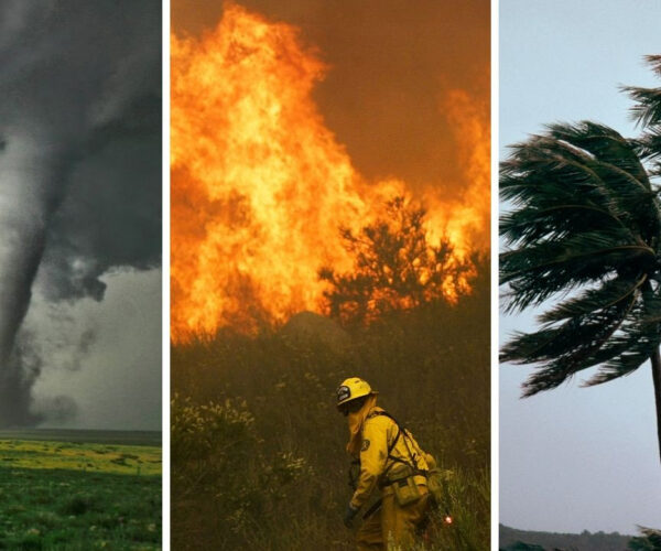 How To Protect Your Home If You Live in a ‘Climate Abandonment’ Zone