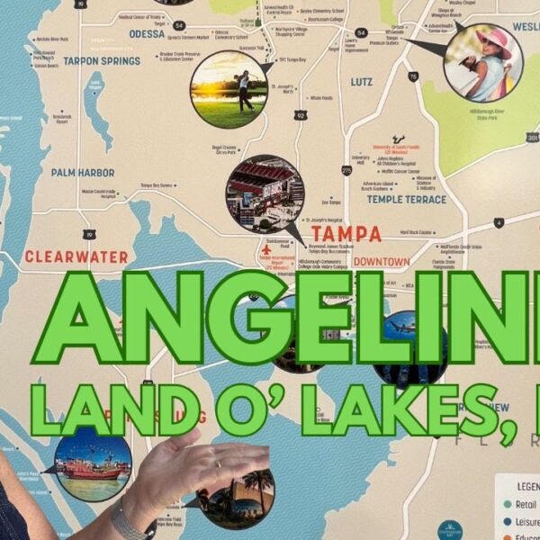 ANGELINE Must-See NEW Homes in Land O Lakes FL