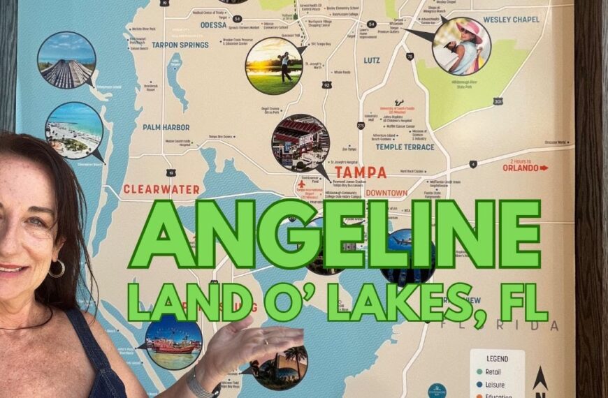 ANGELINE Must-See NEW Homes in Land O Lakes FL
