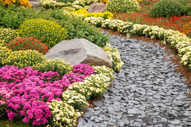 What Is a Rain Garden? (And More FAQs About This Eco-Trend)