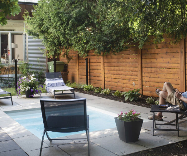 Is Adding a Privacy Fence Worth It? Here’s What the Experts Say