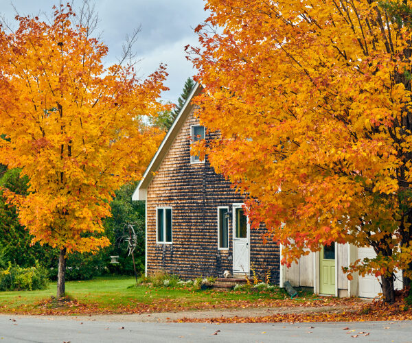 Navigating the Fall 2025 housing market