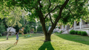 Lawn Aeration Is the Fall Task You’ll Thank Yourself for This Spring