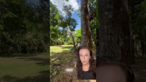 You can hear the wind #dadecity #tampaarea