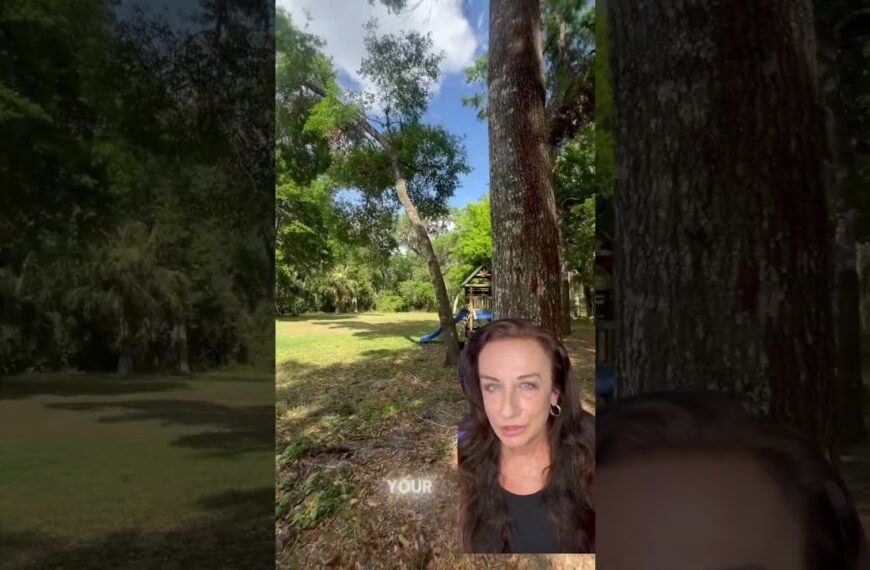 You can hear the wind #dadecity #tampaarea