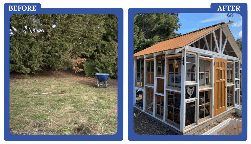 I Spent $2K to Build a Chicken Coop to Feed My Family of Nine