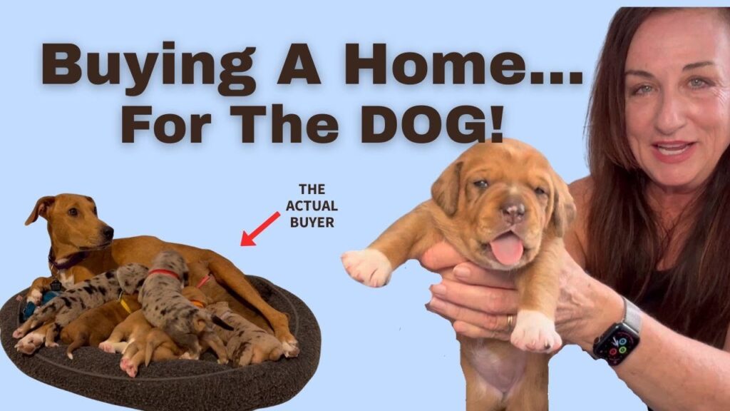 Find a dog friendly home. Does the dog influence your buying decision?