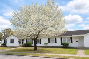 811 17th Ave Unit D, Conway, SC 29526 | Realtor.com®