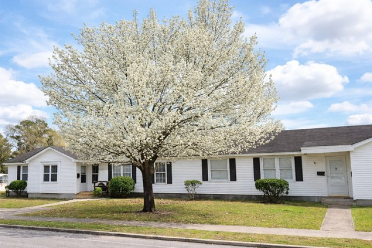 811 17th Ave Unit D, Conway, SC 29526 | Realtor.com®