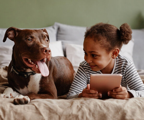 Pet-Friendly Homes Matter More Than Ever to Buyers-and Some Will Pay More