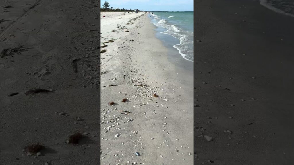Morning walk on Pass-a-Grille beach today. Have you been here? #livinginflorida