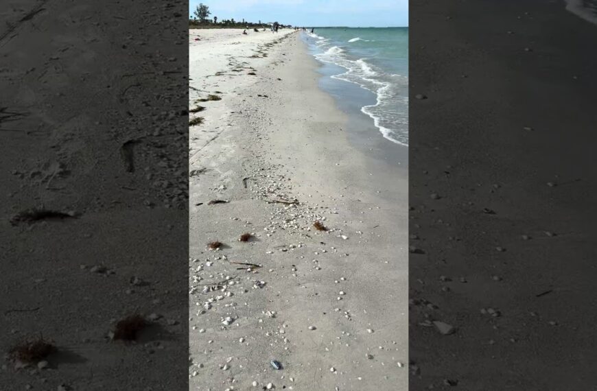 Morning walk on Pass-a-Grille beach today. Have you been here? #livinginflorida