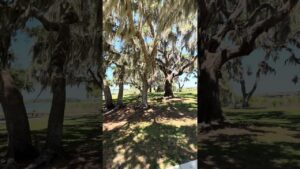 Eagle Park in Wesley Chapel Florida is so pretty. I saw people walking, fishing & biking.