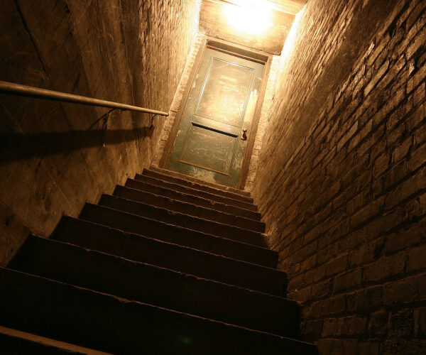 We Found a Stranger Living in Our Basement