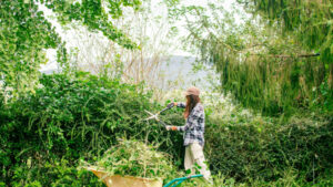 The Chaos Gardening Trend Is Slashing Maintenance Bills for Homeowners