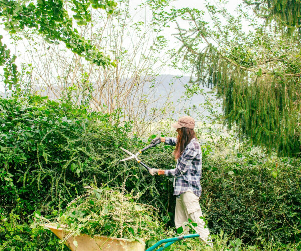 The Chaos Gardening Trend Is Slashing Maintenance Bills for Homeowners