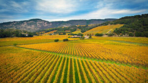 The Ultrarich Are Ghosting San Francisco for Napa Valley’s Luxury Mansions