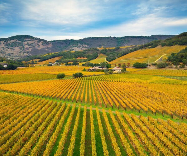 The Ultrarich Are Ghosting San Francisco for Napa Valley’s Luxury Mansions