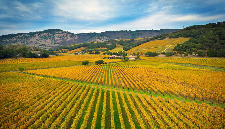 The Ultrarich Are Ghosting San Francisco for Napa Valley’s Luxury Mansions