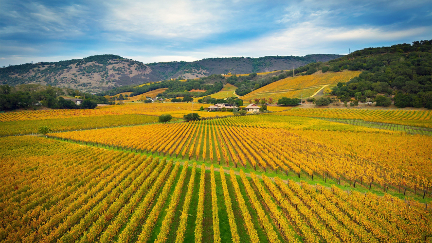 The Ultrarich Are Ghosting San Francisco for Napa Valley’s Luxury Mansions
