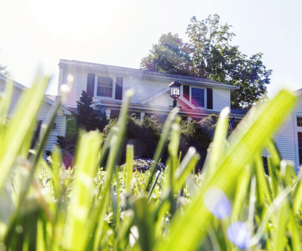 Suburban Backyards in These States Are Facing an Unprecedented Tick Boom