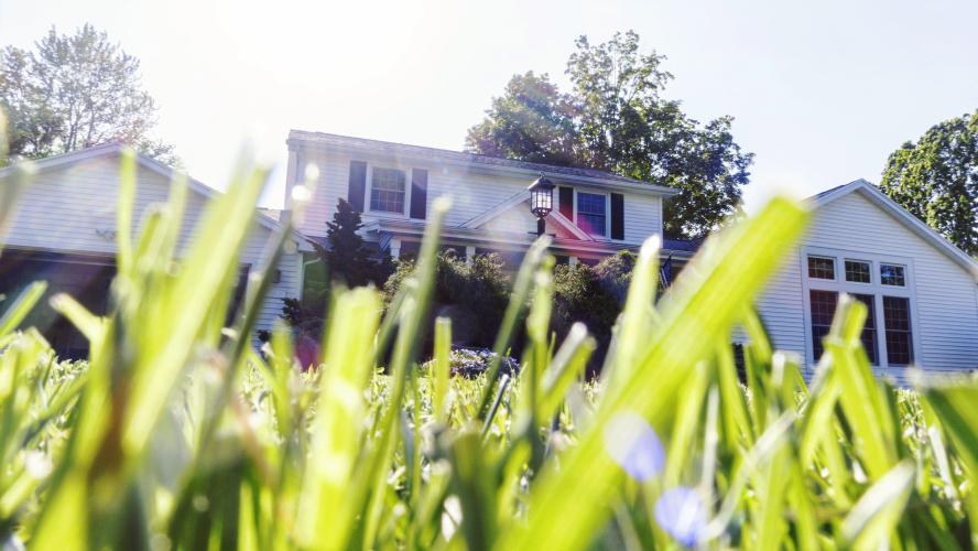 Suburban Backyards in These States Are Facing an Unprecedented Tick Boom