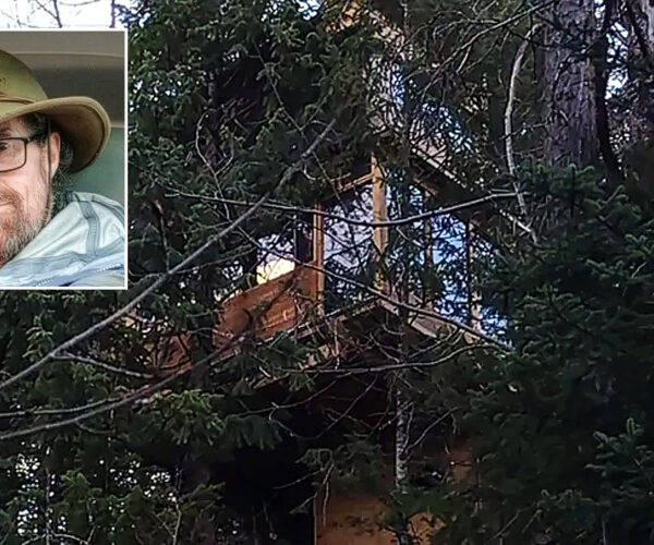 Aspen Treehouse Dweller Faces County Lawsuit Over His Nontraditional Home