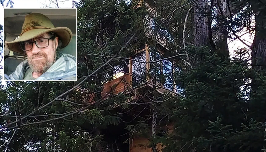 Aspen Treehouse Dweller Faces County Lawsuit Over His Nontraditional Home