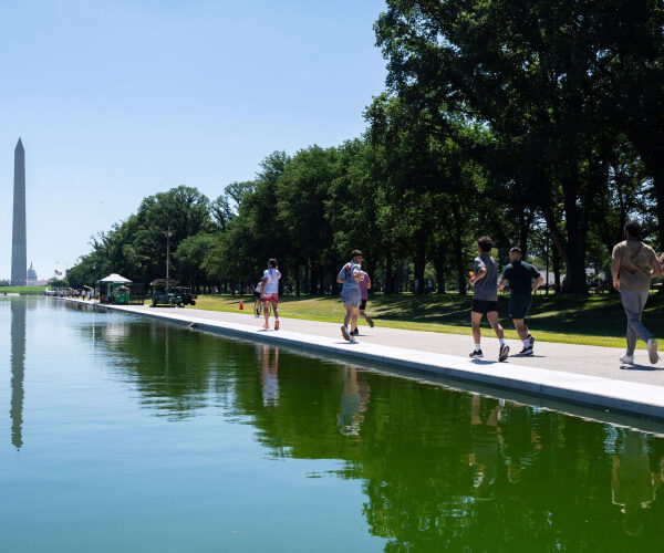 The Lincoln Memorial Reflecting Pool Turned Green. Your Pool Doesn’t Have To.