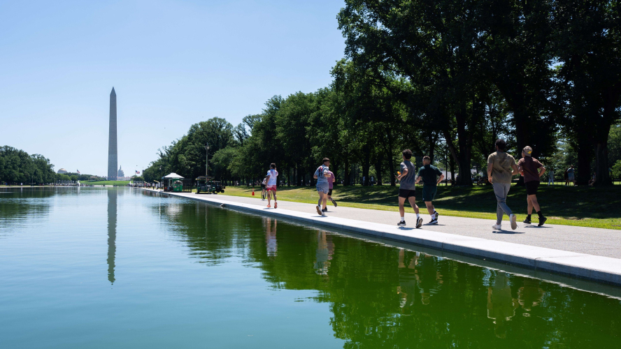 The Lincoln Memorial Reflecting Pool Turned Green. Your Pool Doesn’t Have To.
