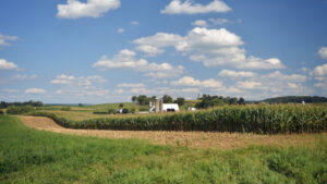 Corn Prices Plummet-but Farmers’ Land Is Getting More Valuable
