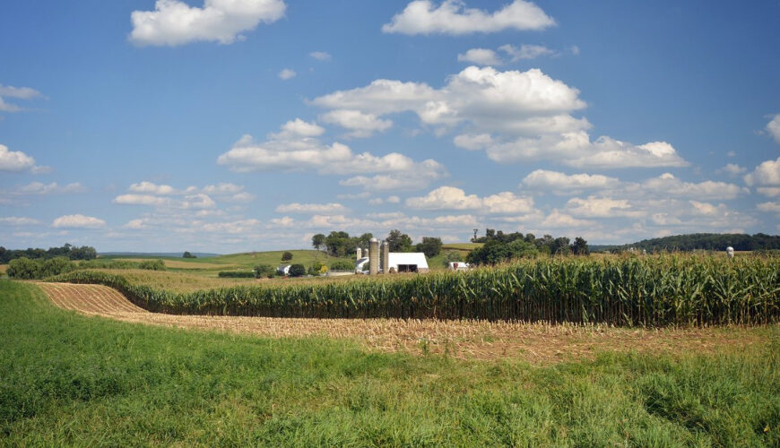 Corn Prices Plummet-but Farmers’ Land Is Getting More Valuable