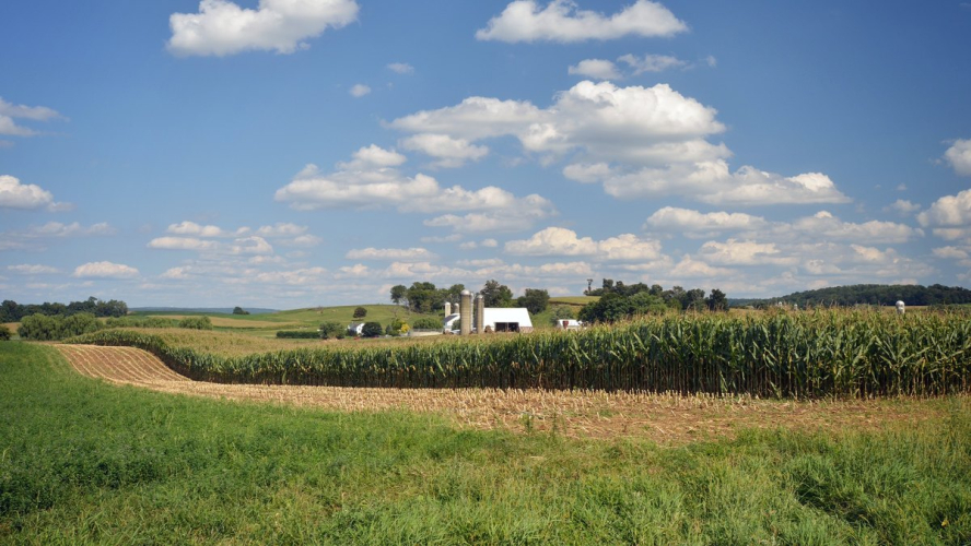 Corn Prices Plummet-but Farmers’ Land Is Getting More Valuable