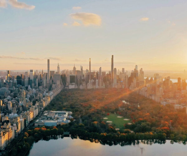 The Natural Feature That Makes Some Neighborhoods 15 Degrees Cooler
