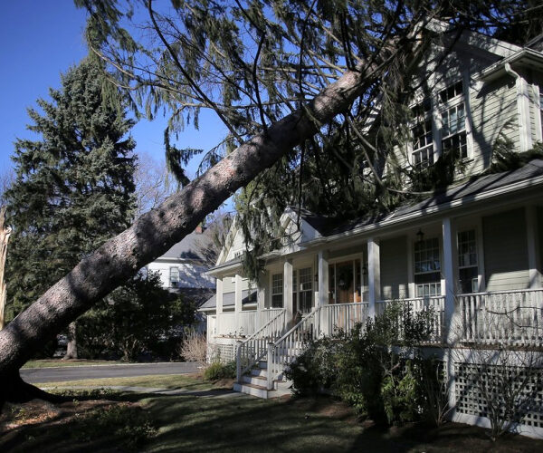 The $8.8 Million-a-Day Delay: The Hidden Financial Toll on Homeowners Waiting for Insurance Claim Checks