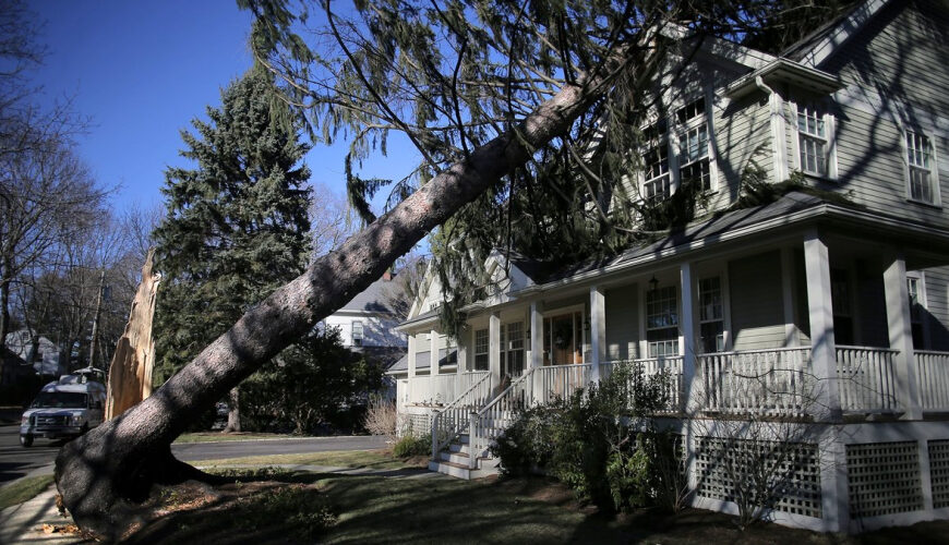 The $8.8 Million-a-Day Delay: The Hidden Financial Toll on Homeowners Waiting for Insurance Claim Checks