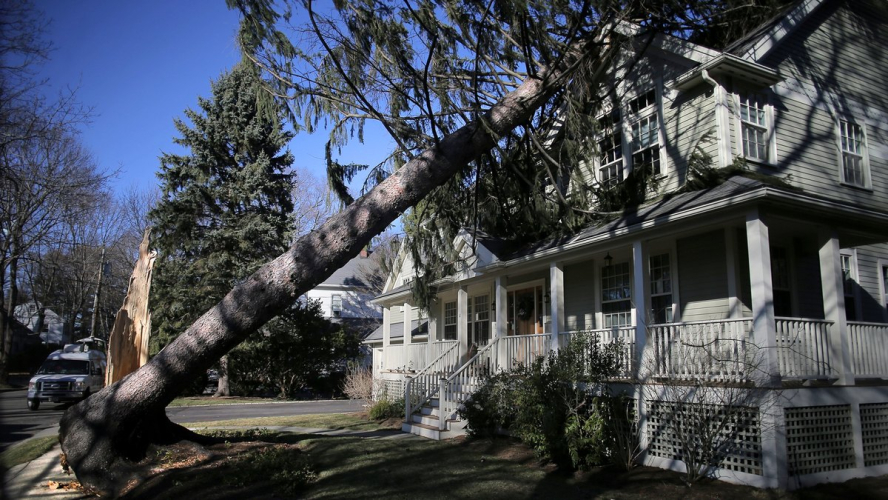 The $8.8 Million-a-Day Delay: The Hidden Financial Toll on Homeowners Waiting for Insurance Claim Checks