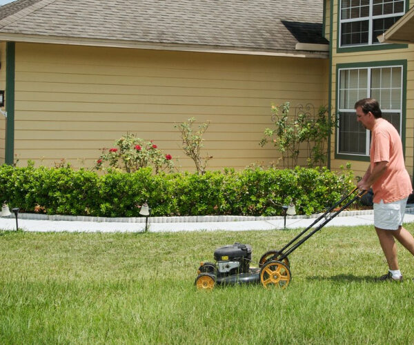 Mapped: Where Pollen Season Will Hit Homeowners Hardest
