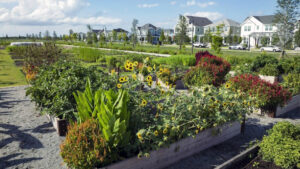New Florida Development Features 170-Acre Community Farm