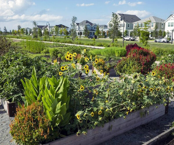 New Florida Development Features 170-Acre Community Farm