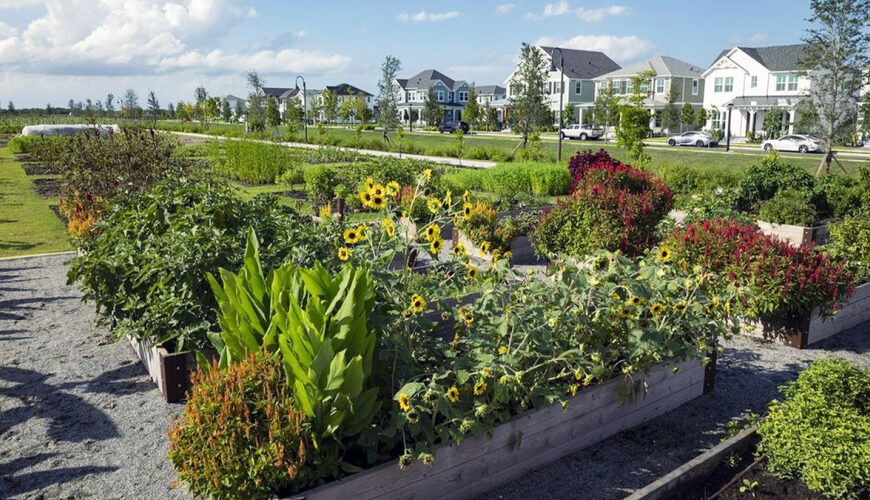 New Florida Development Features 170-Acre Community Farm