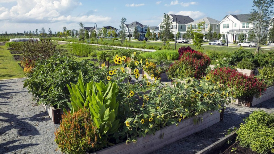 New Florida Development Features 170-Acre Community Farm