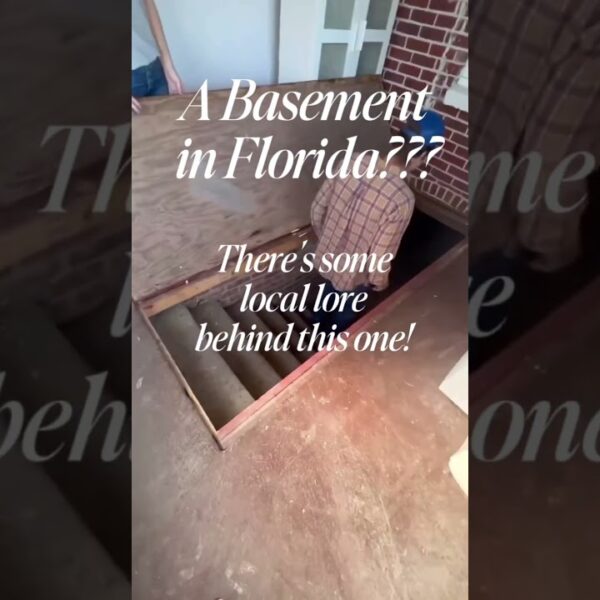 A basement in Florida?  Coming Soon 12852 Curley St., San Antonio Florida