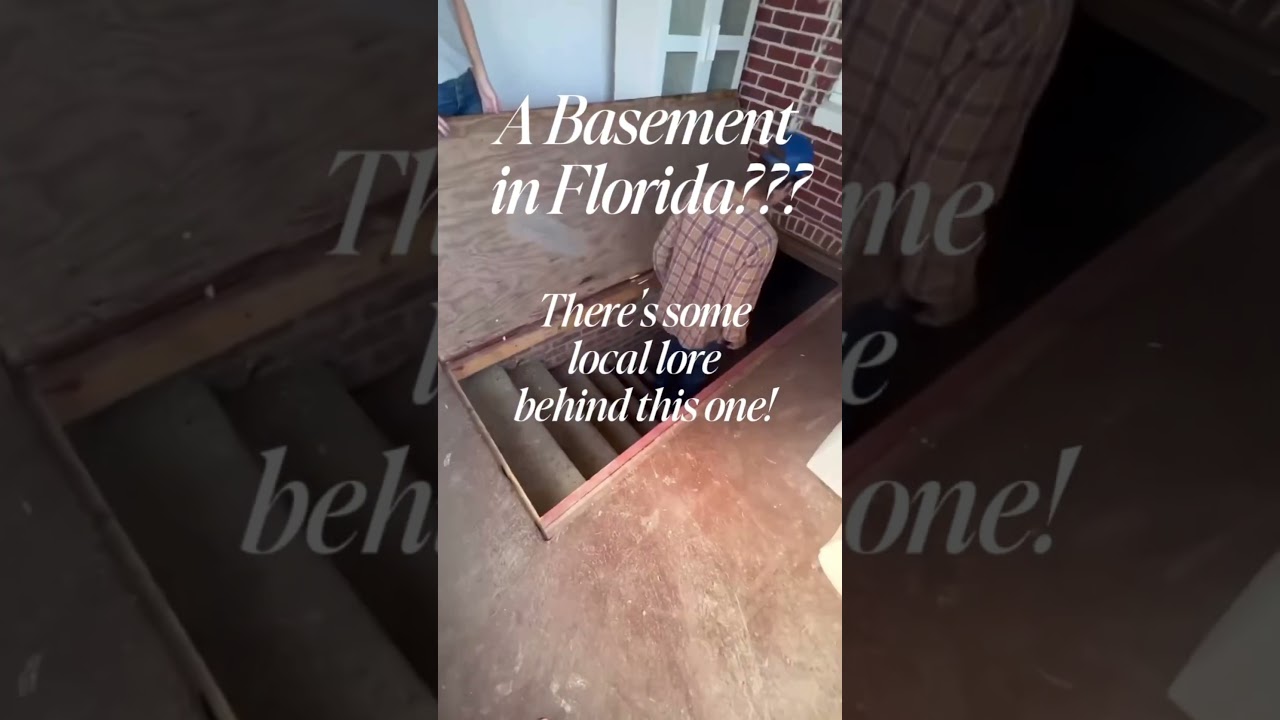 A basement in Florida?  Coming Soon 12852 Curley St., San Antonio Florida