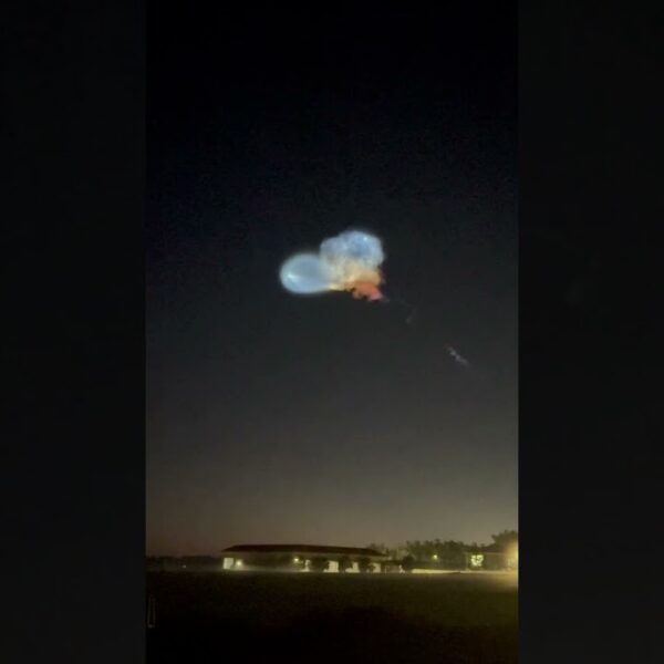 Did you see this jellyfish in the sky? The Space X launch was beautiful.